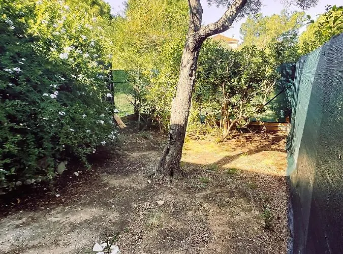 Апартаменты Ravissant T1 Avec Jardinet Proche De La Йер