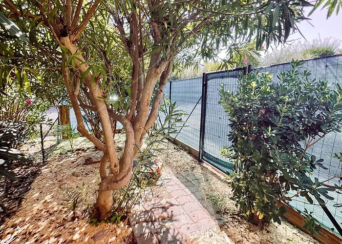 Ravissant T1 Avec Jardinet Proche De La Апартаменты Йер