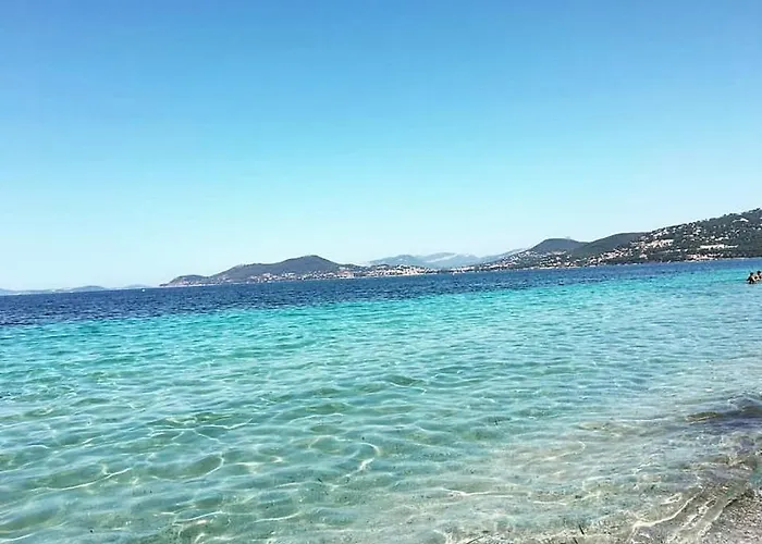 Ravissant T1 Avec Jardinet Proche De La